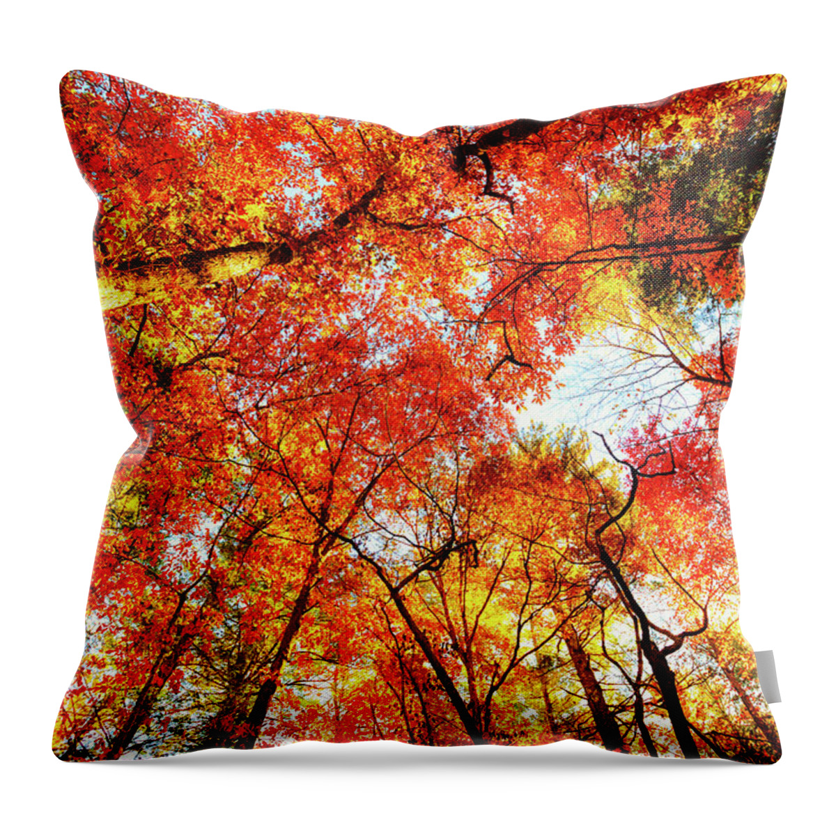 Treetop Throw Pillow featuring the photograph Great Smoky Mountains In Autumn #1 by Moreiso