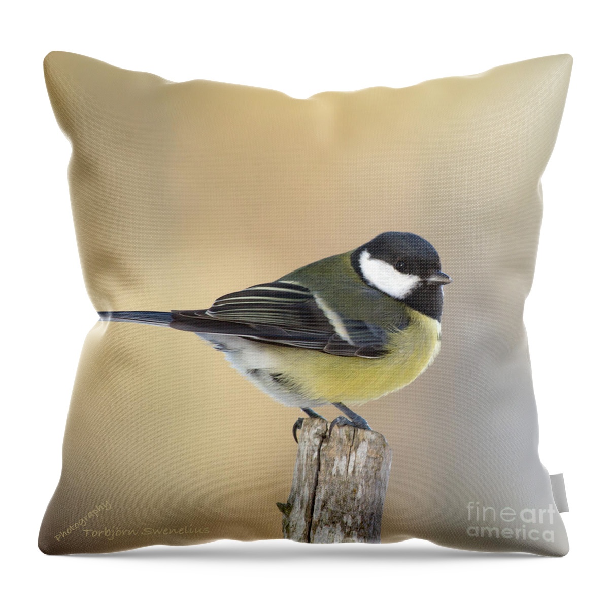 Great Tit Throw Pillow featuring the photograph Great Tit #3 by Torbjorn Swenelius