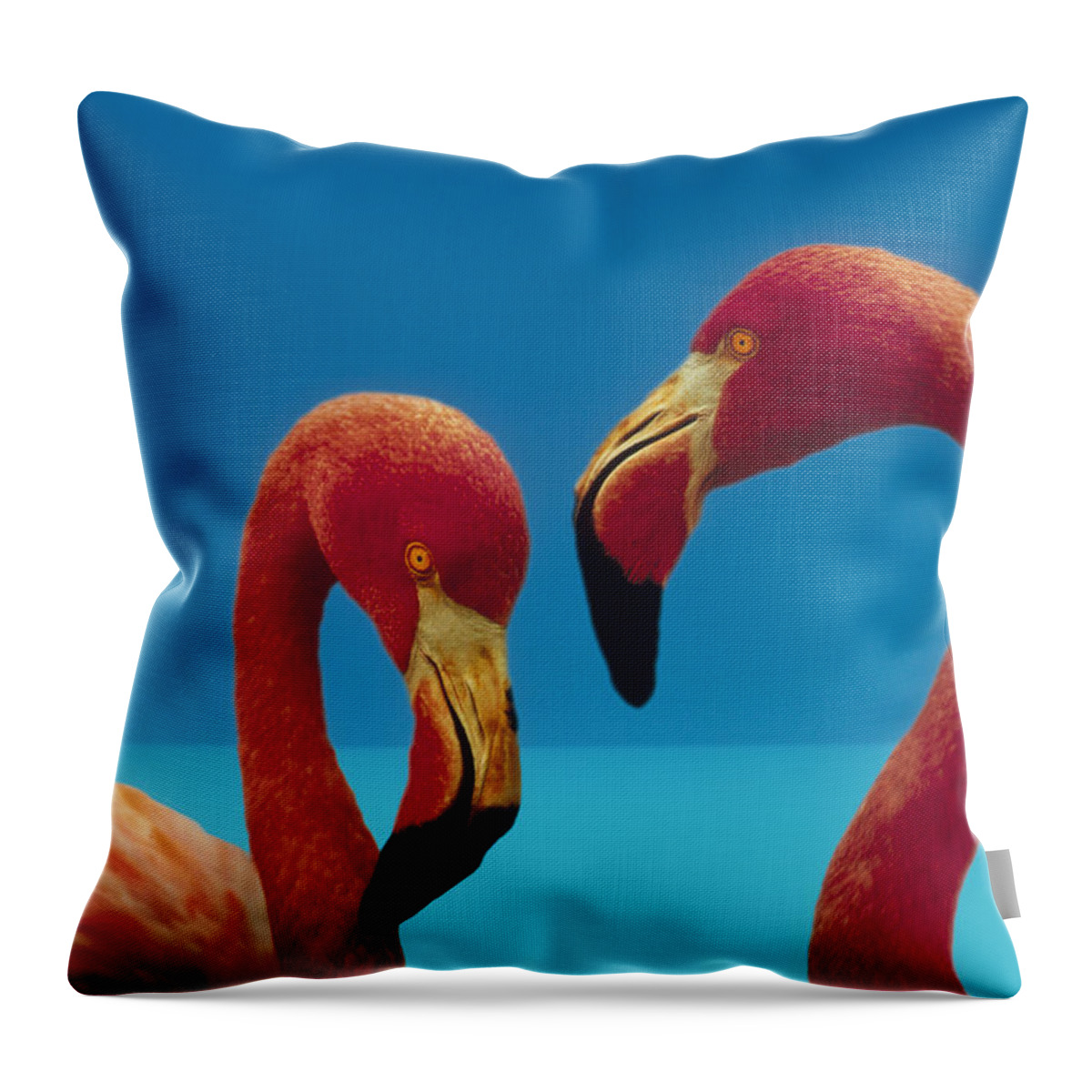 00172310 Throw Pillow featuring the photograph Greater Flamingo Phoenicopterus Ruber #2 by Tim Fitzharris