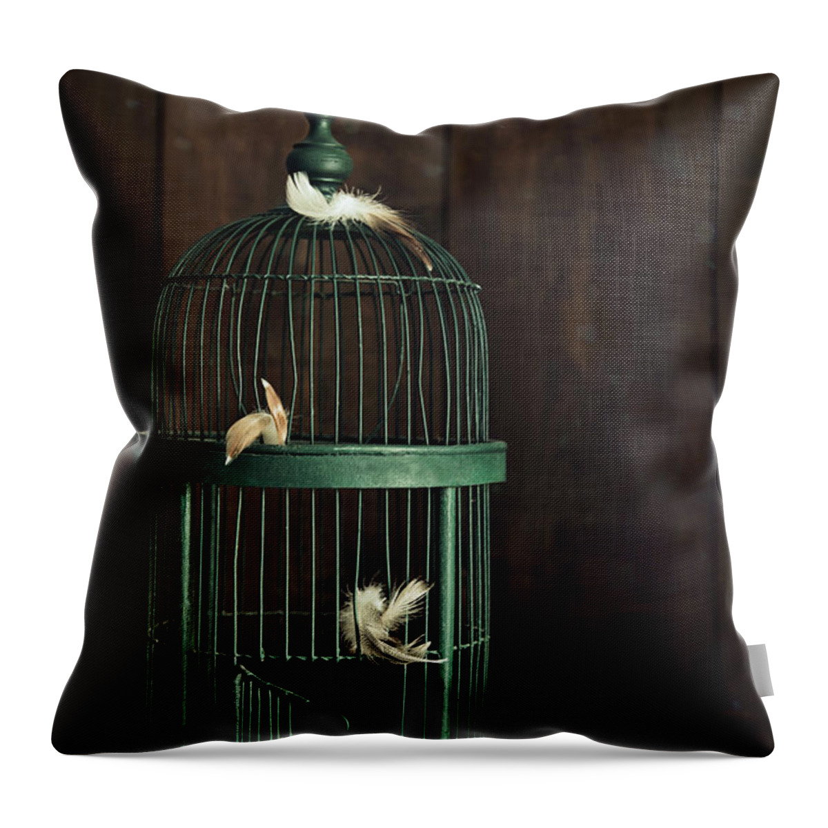Atmospheric Throw Pillow featuring the photograph Green birdcage with feathers #1 by Sandra Cunningham