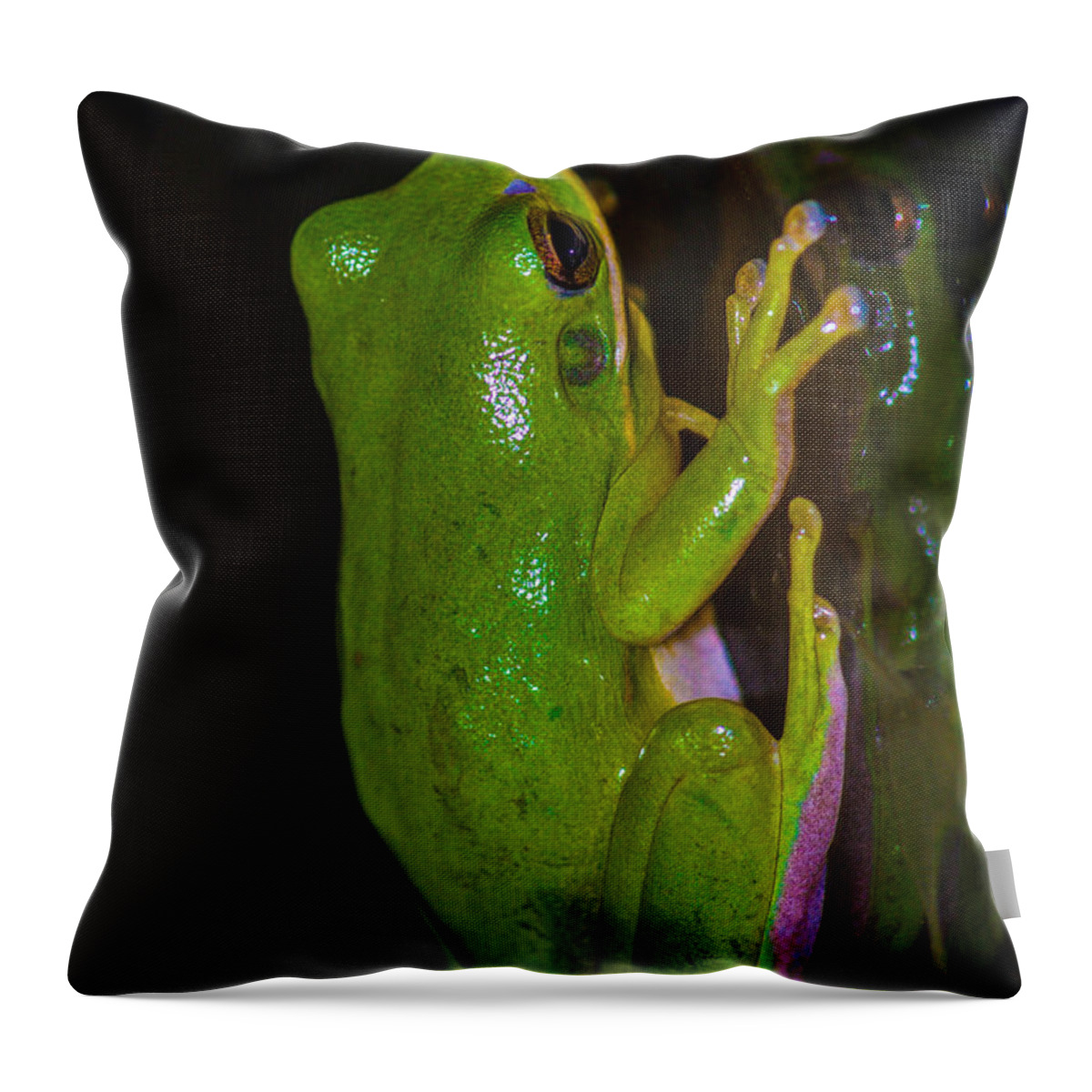  Throw Pillow featuring the photograph Green tree frog #1 by Gerald Kloss