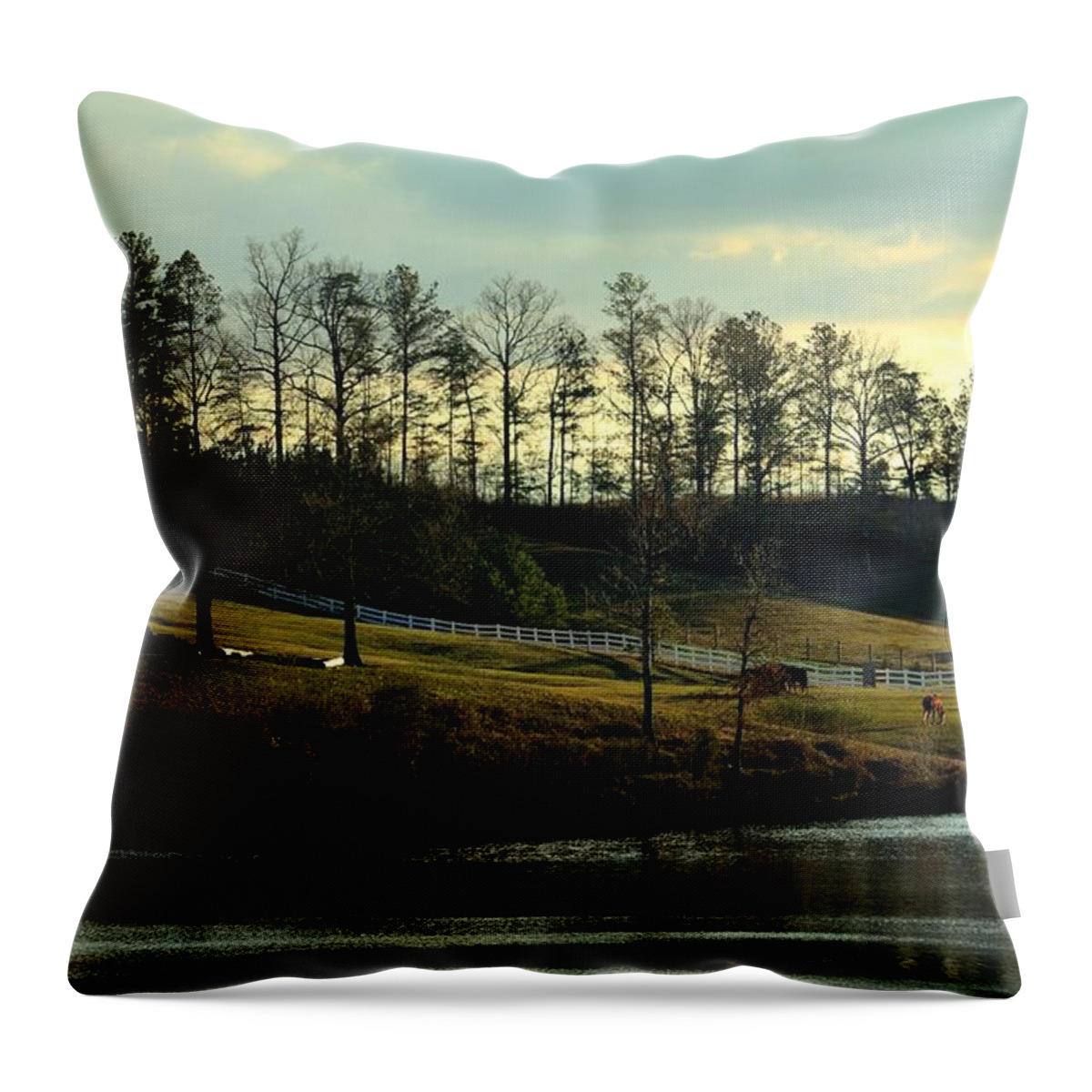 Hill Country Throw Pillow featuring the photograph Hill Country #1 by Maria Urso