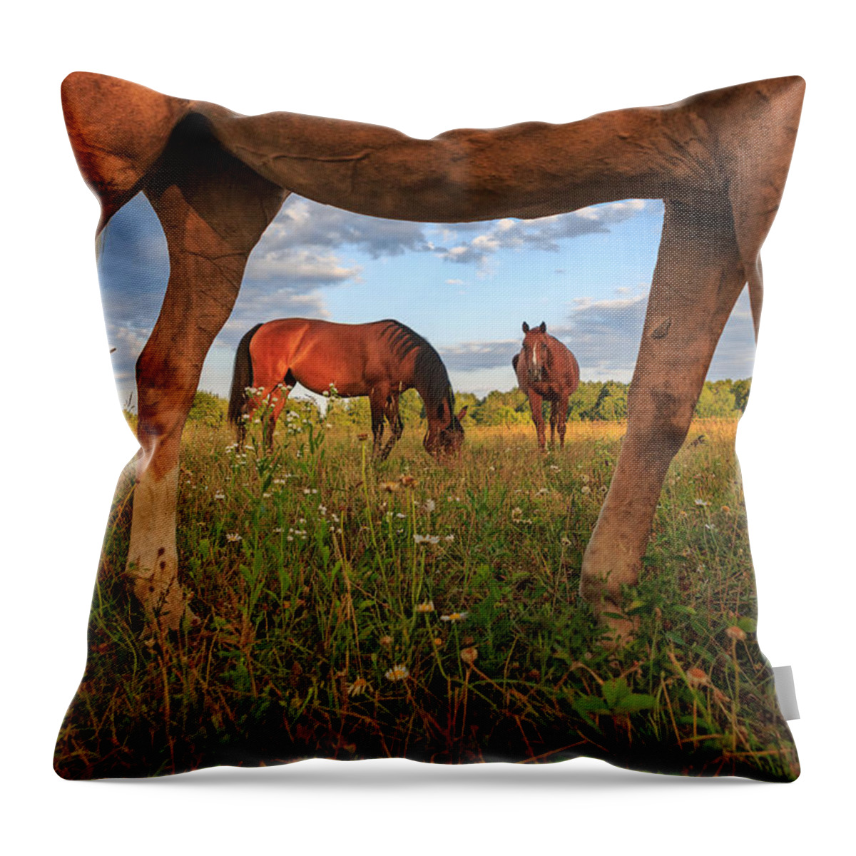Horse Throw Pillow featuring the photograph Horses #1 by Everet Regal