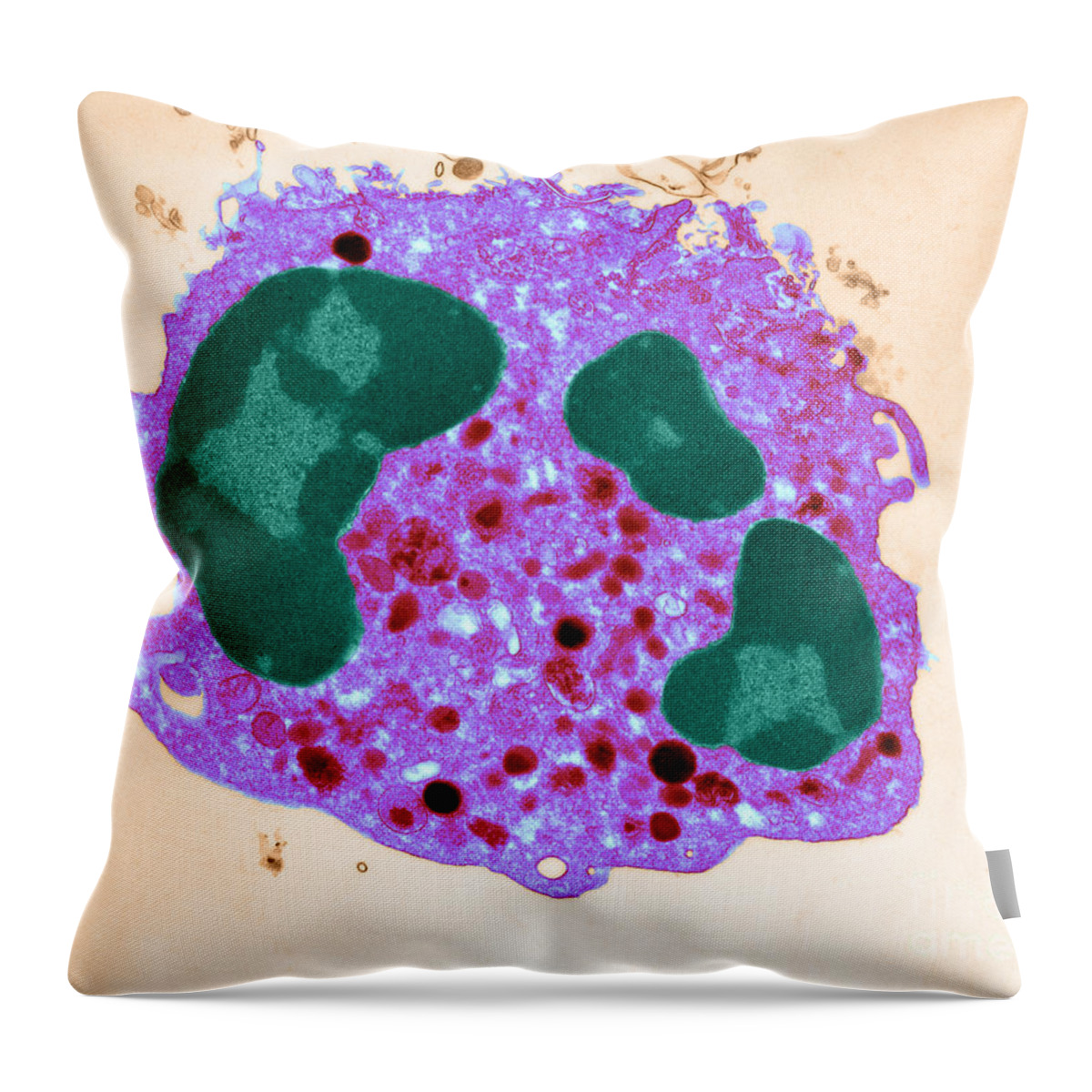 Transmission Electron Micrograph Throw Pillow featuring the photograph Human Neutrophil, Tem #1 by David M. Phillips