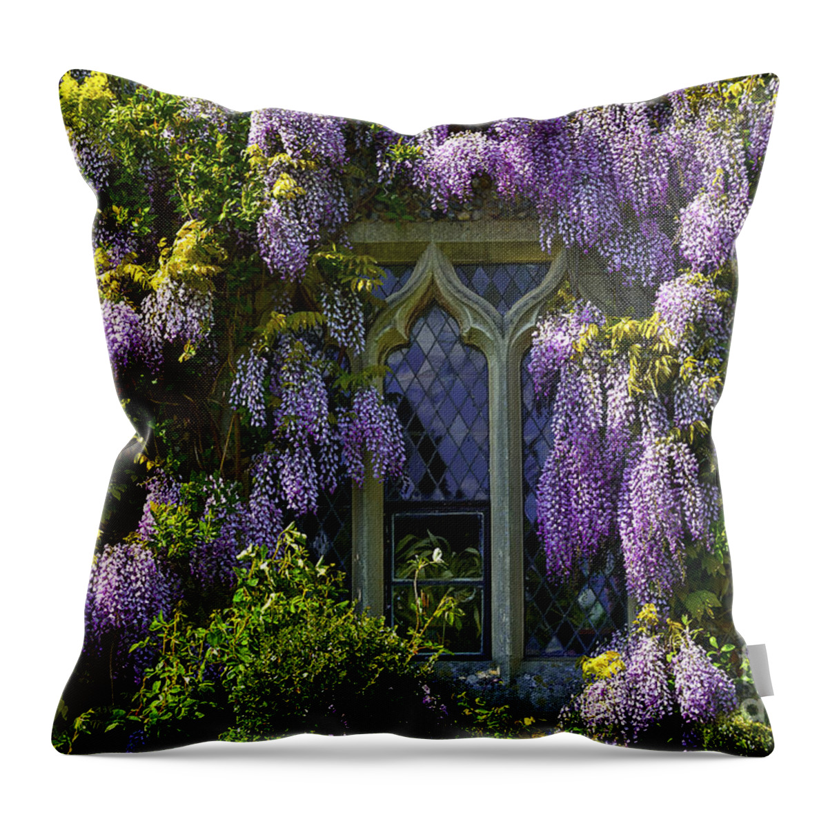 Anniversary Throw Pillow featuring the photograph In Bloom #1 by Svetlana Sewell