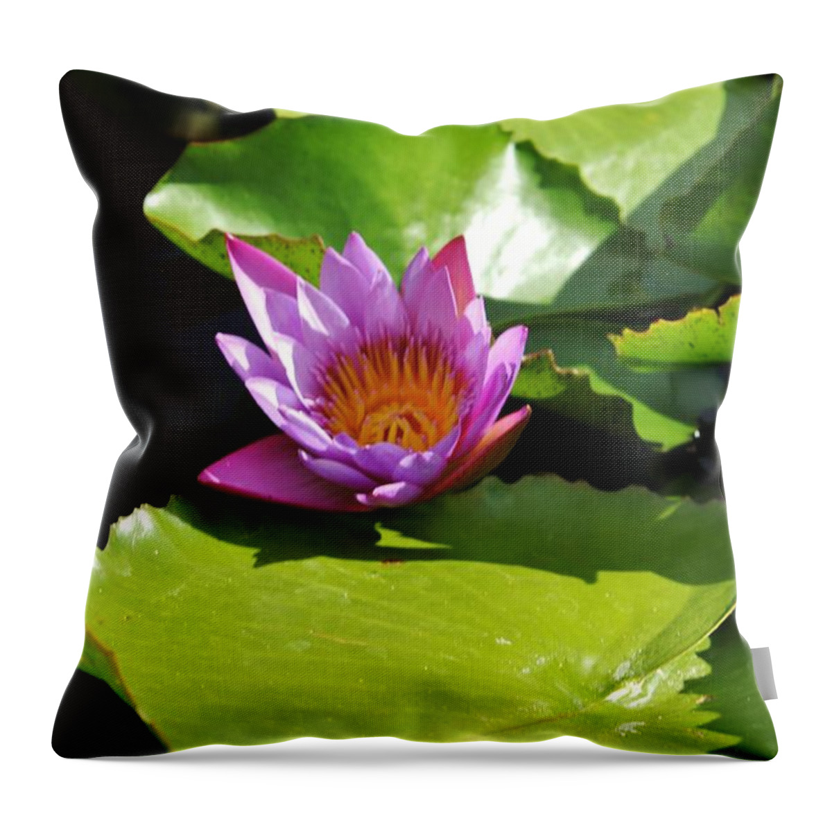 Water Lily Throw Pillow featuring the photograph In The Middle #1 by Craig Wood