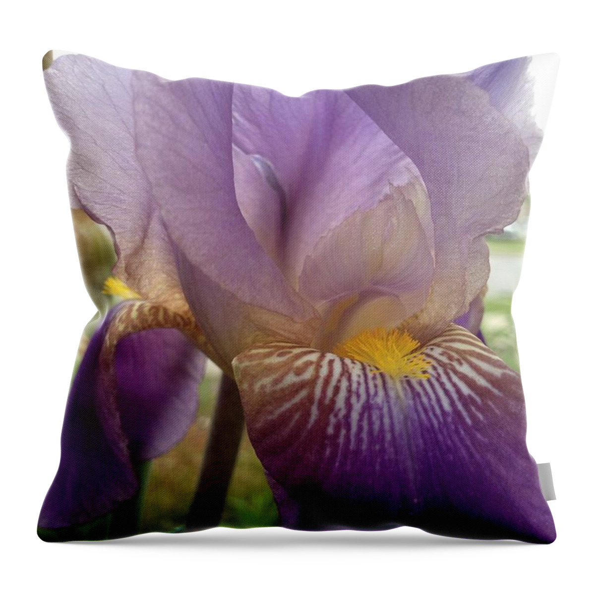 Purple Throw Pillow featuring the photograph Iris #1 by Pema Hou