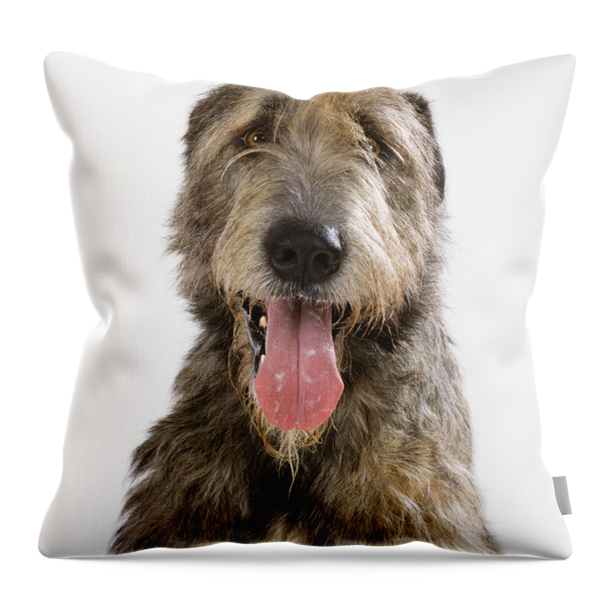 Dog Throw Pillow featuring the photograph Irish Wolfhound #1 by John Daniels