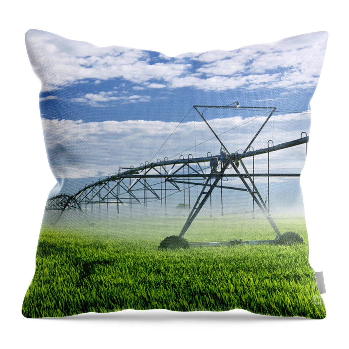 Irrigation Throw Pillow featuring the photograph Irrigation equipment on farm field 1 by Elena Elisseeva