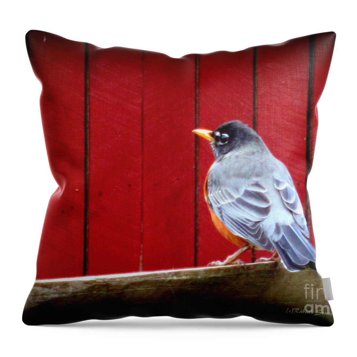 Birds Throw Pillow featuring the photograph Is it Spring #1 by Rabiah Seminole