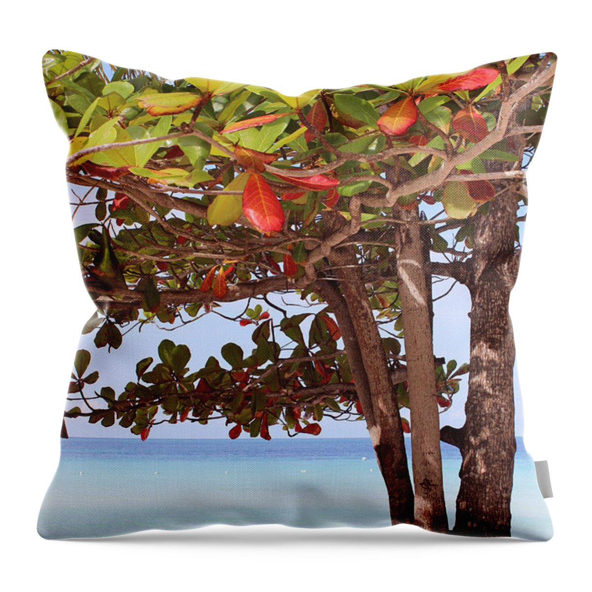 Tree Throw Pillow featuring the photograph Jamaican Day #1 by Samantha Delory