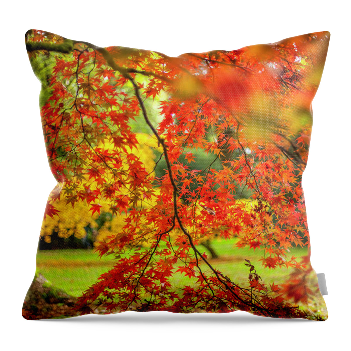Westonbirt Throw Pillow featuring the photograph Japanese Maple Leaves #1 by Jacky Parker Photography