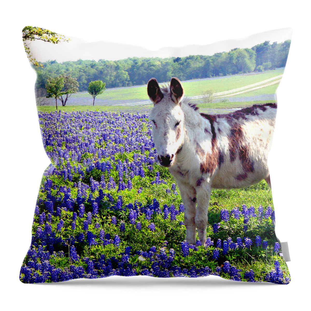 Bluebonnets Throw Pillow featuring the photograph Jesus Donkey In Bluebonnets #1 by Linda Cox