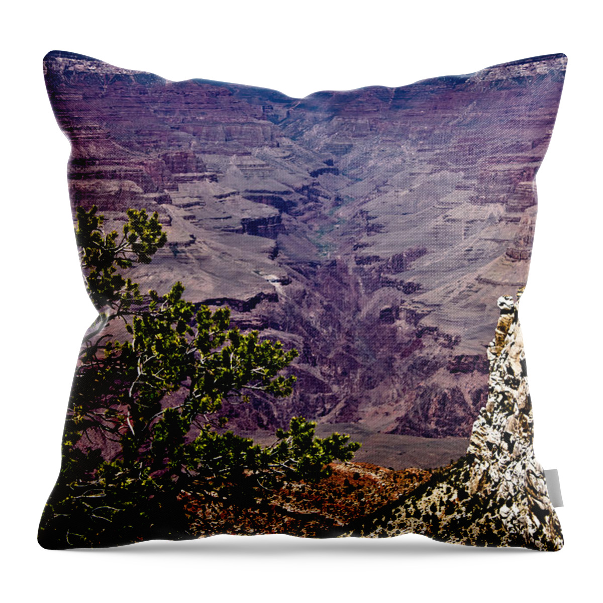 Grand Throw Pillow featuring the photograph 1 by Joel Loftus