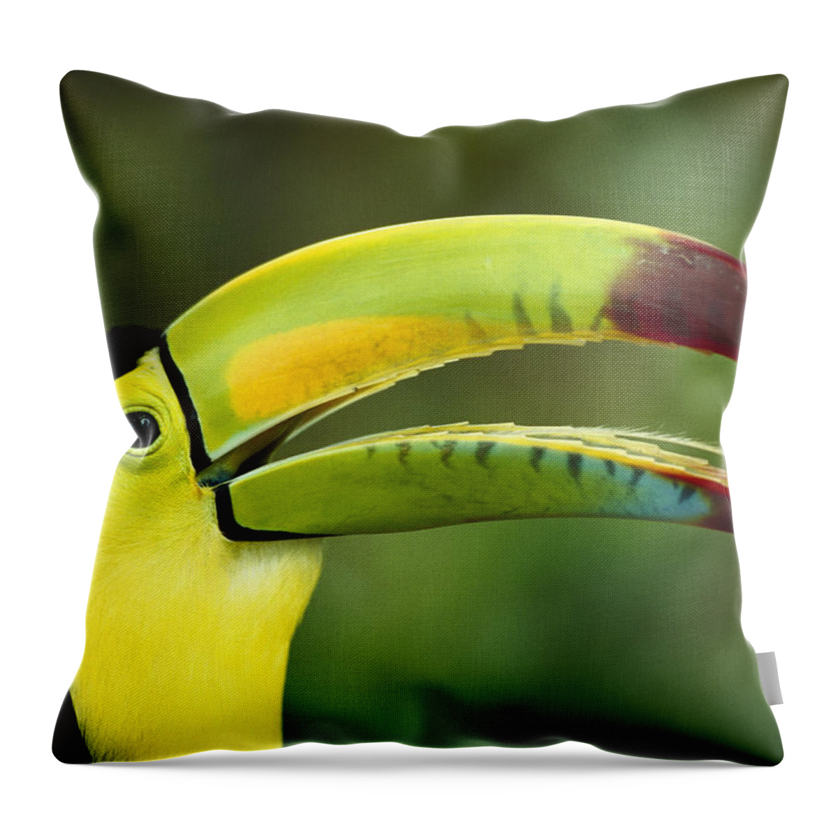 Feb0514 Throw Pillow featuring the photograph Keel-billed Toucan #1 by Gerry Ellis