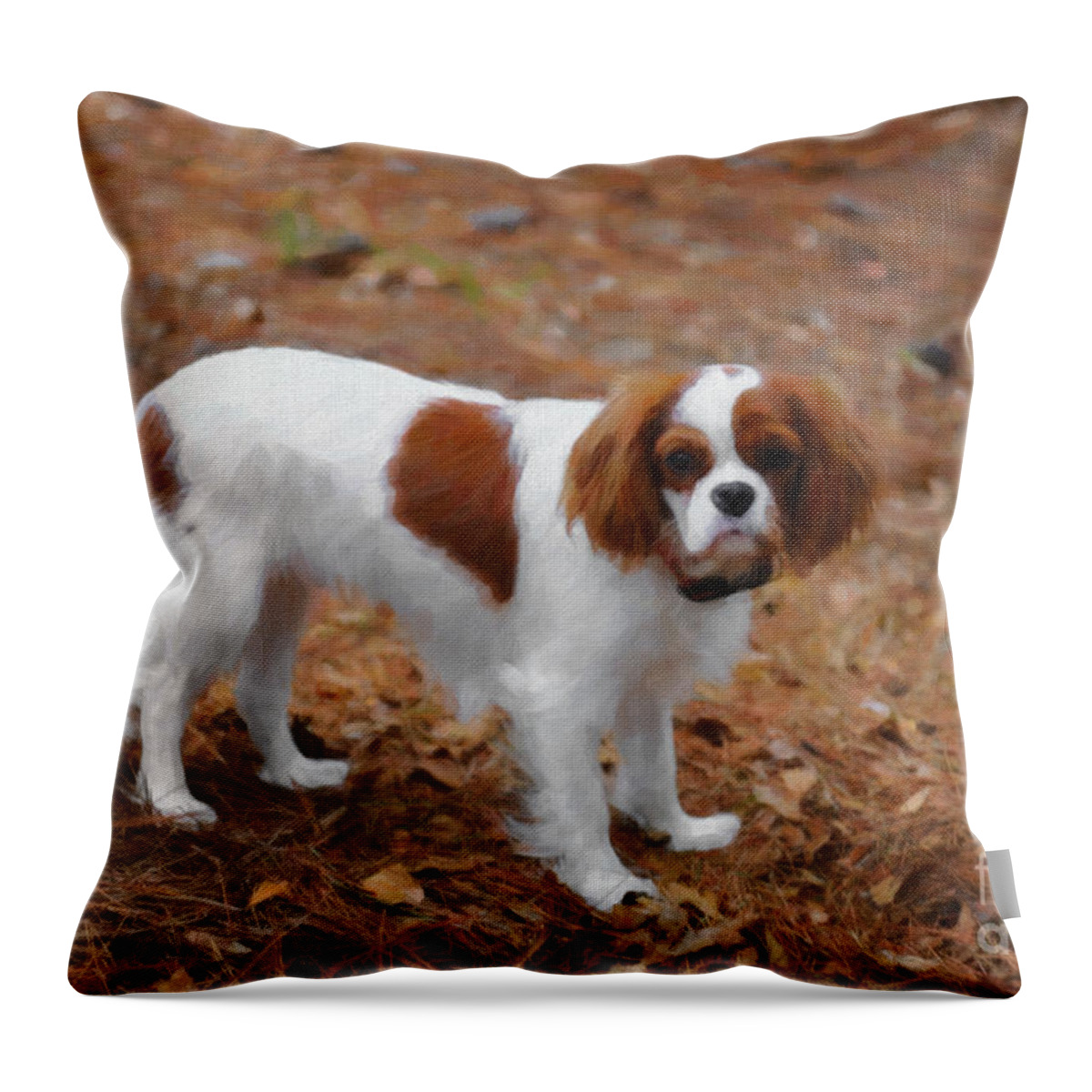 Cavalier King Charles Spaniel Throw Pillow featuring the digital art My Sweet Daisy by Dale Powell