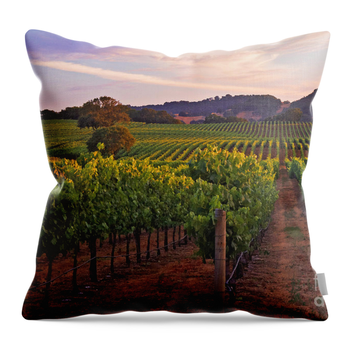 Calistoga Throw Pillow featuring the photograph Knight's Valley Summer Solstice #1 by Charlene Mitchell