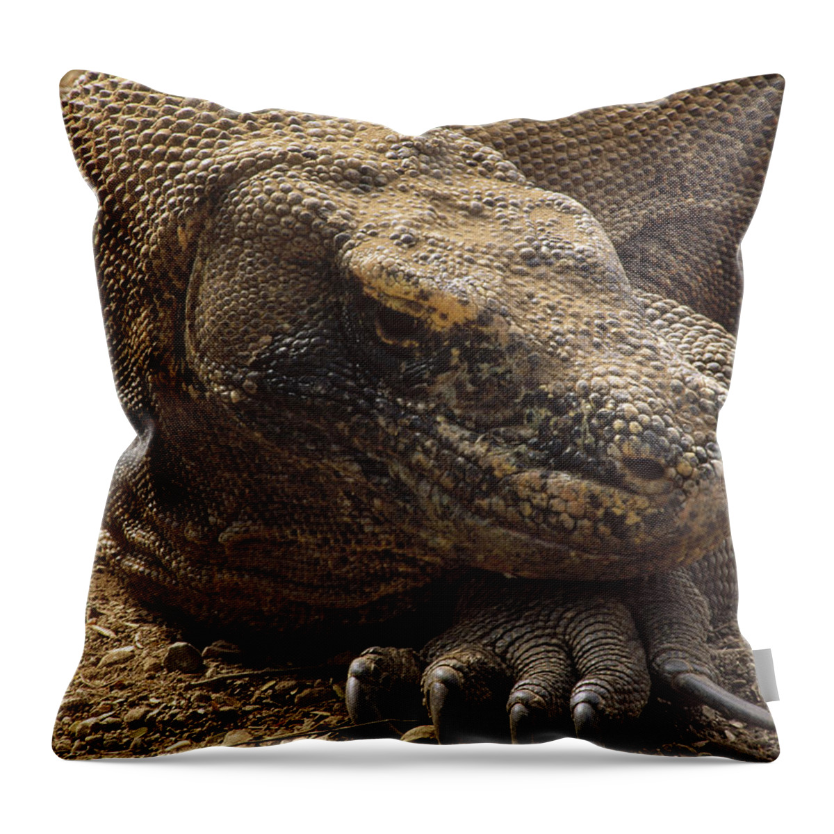 Feb0514 Throw Pillow featuring the photograph Komodo Dragon Male Basking Komodo Island #1 by Tui De Roy