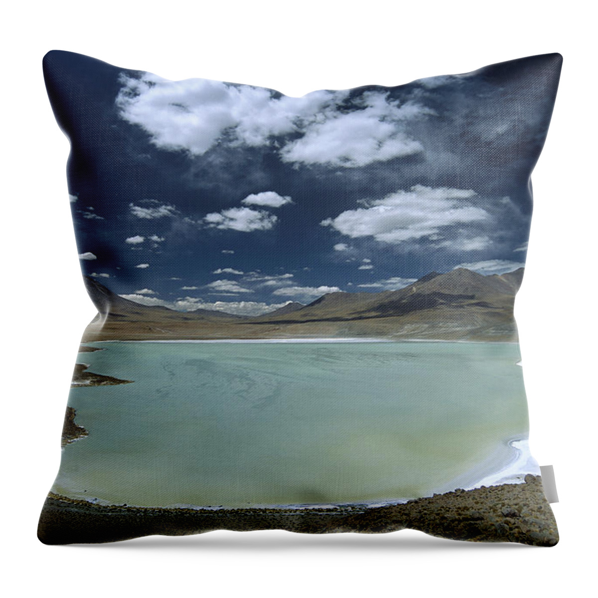 Feb0514 Throw Pillow featuring the photograph Laguna Canapa Potosi District Altiplano #1 by Tui De Roy
