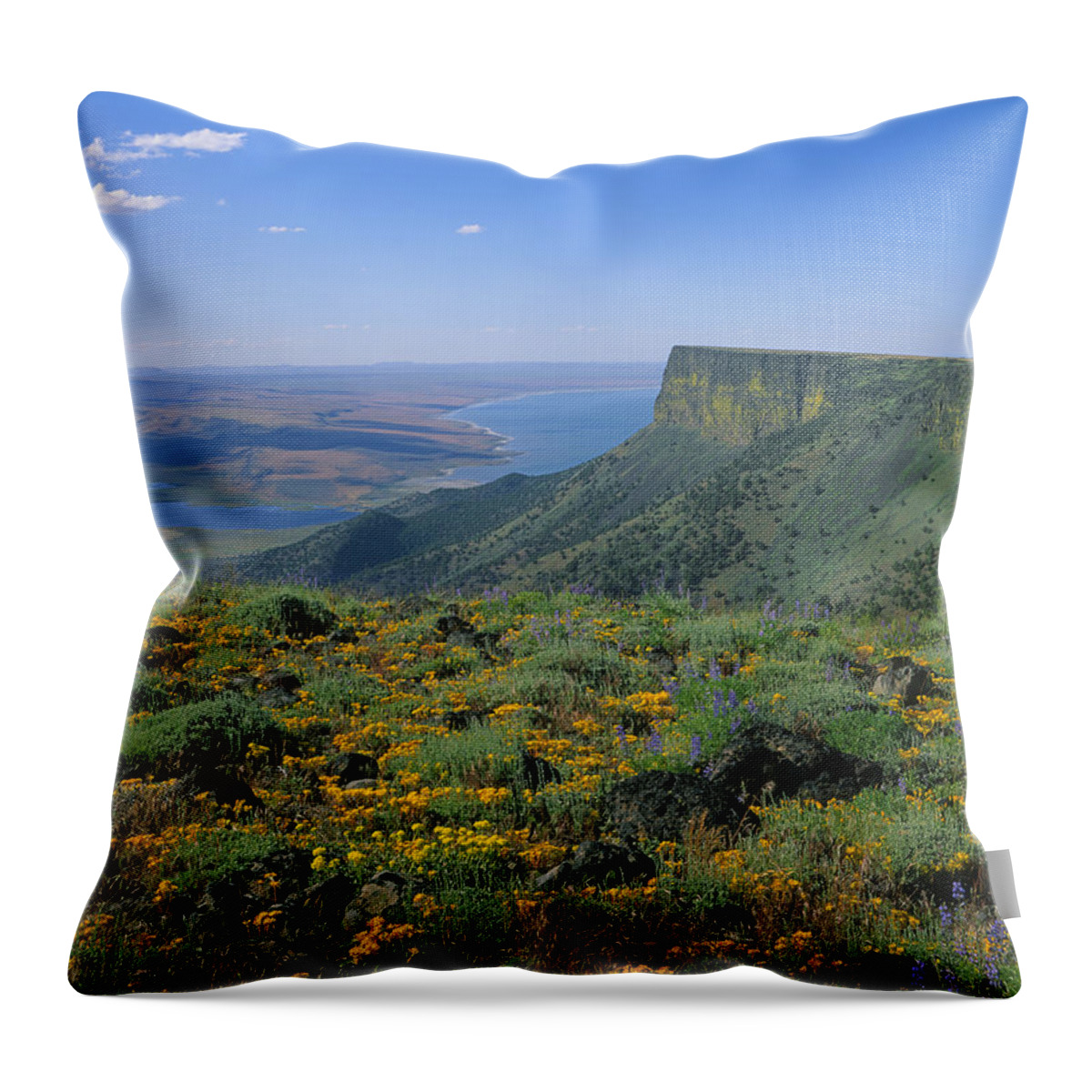 Lake Abert Throw Pillow featuring the photograph 1A5801-Lake Abert and Abert Rim by Ed Cooper Photography
