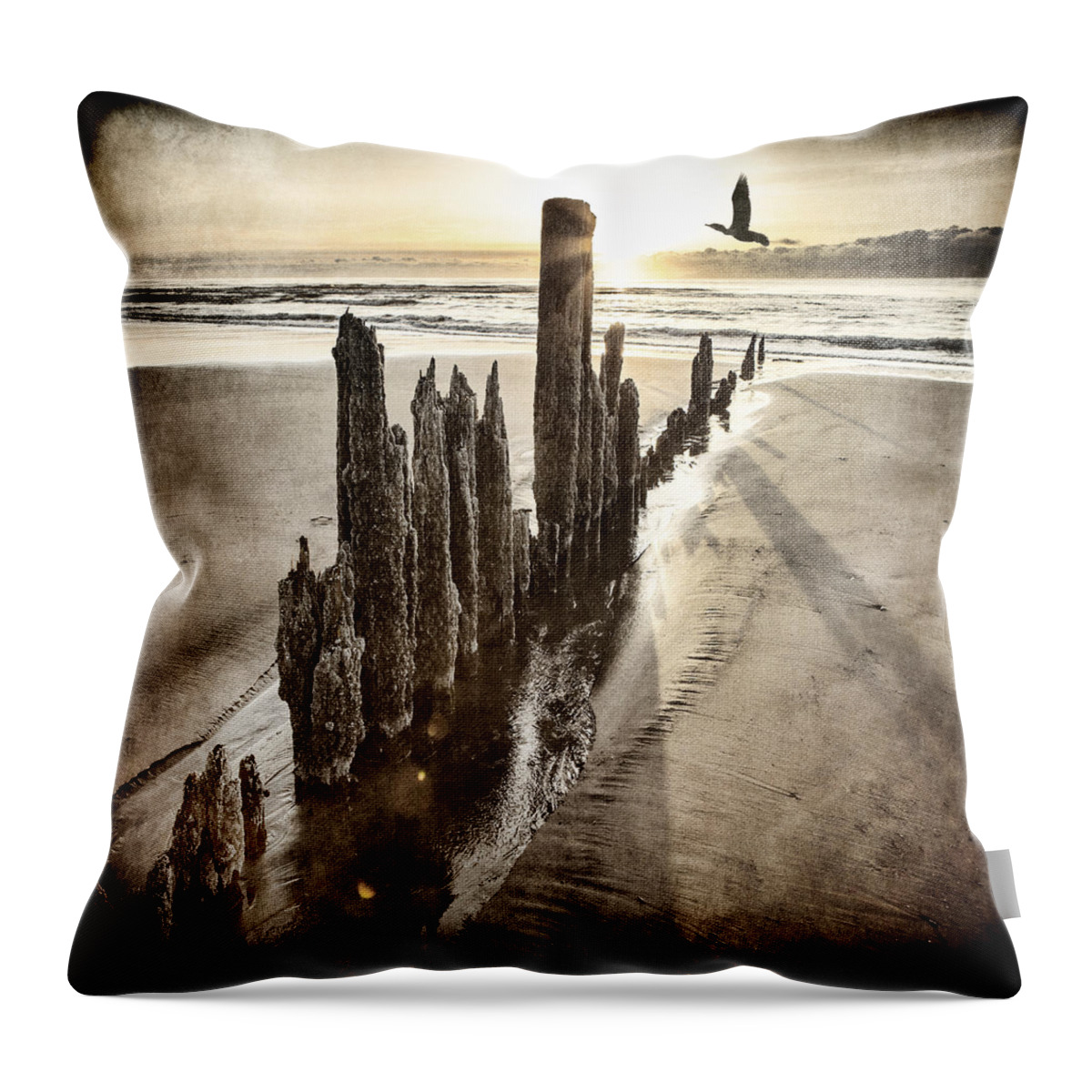 Abandoned Throw Pillow featuring the photograph Last Light #1 by Michele Cornelius