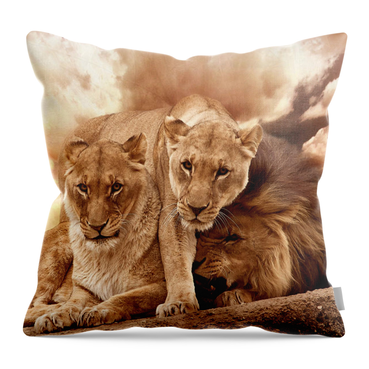 Lion Throw Pillow featuring the photograph Lions #1 by Christine Sponchia