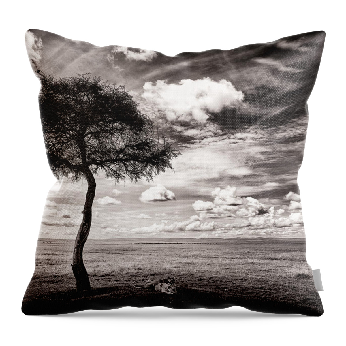 Africa Throw Pillow featuring the photograph Lions In The Shade - Selenium Toned #1 by Mike Gaudaur