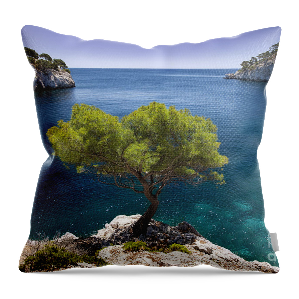 France Throw Pillow featuring the photograph Lone Pine Tree Provence France by Brian Jannsen