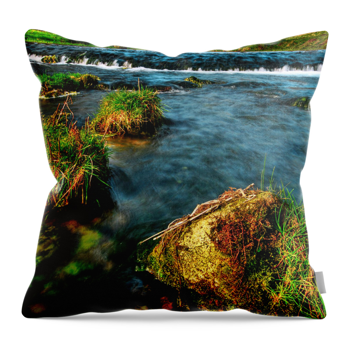  Throw Pillow featuring the photograph Lwv20042 #1 by Lee Winter