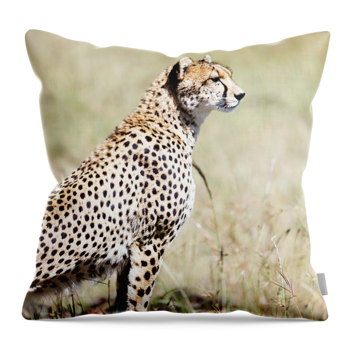Kenya Throw Pillow featuring the photograph Masai Mara Reserve, Kenya #1 by Gavin Gough