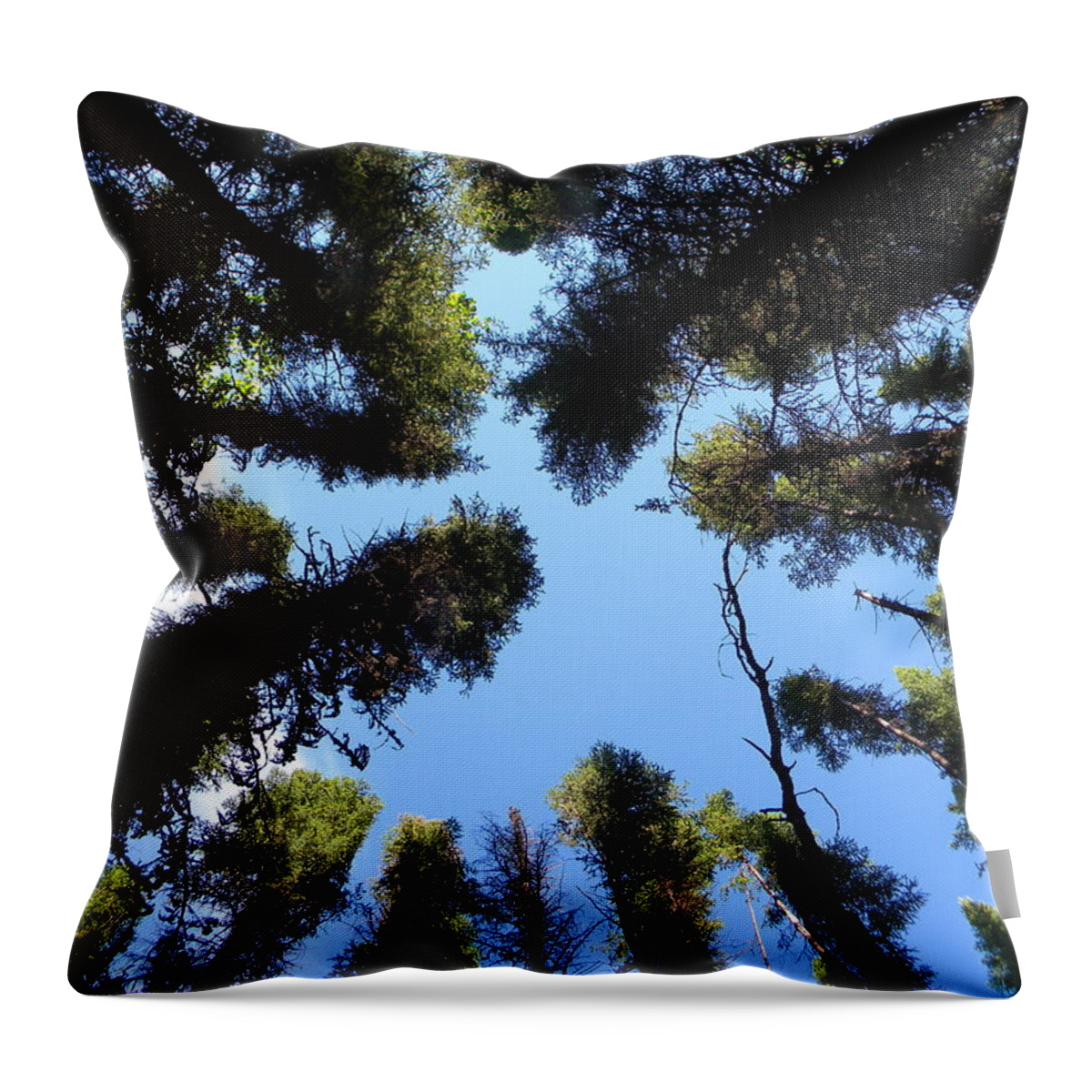 Nature Throw Pillow featuring the photograph Meditation #1 by James Petersen