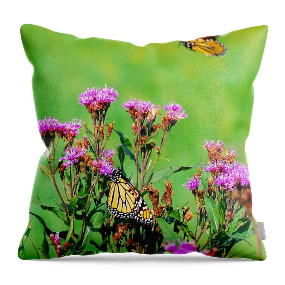 Jma Throw Pillow featuring the photograph Monarchs #1 by Janice Adomeit