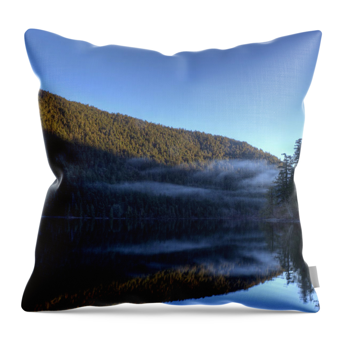Lake Throw Pillow featuring the photograph Morning Mist #1 by Randy Hall