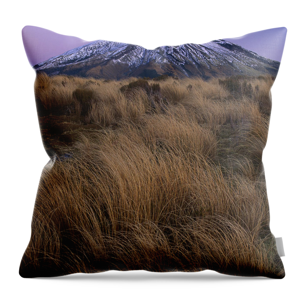 Feb0514 Throw Pillow featuring the photograph Mount Taranaki At Dusk New Zealand #1 by Shaun Barnett