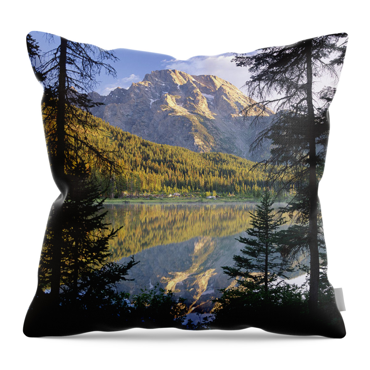 Feb0514 Throw Pillow featuring the photograph Mt Moran And String Lake Wyoming #1 by Tim Fitzharris