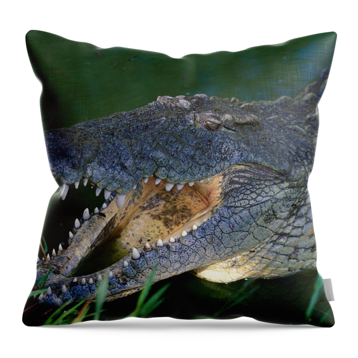 Croc Throw Pillow featuring the photograph Nile Crocodile #1 by Nigel J. Dennis