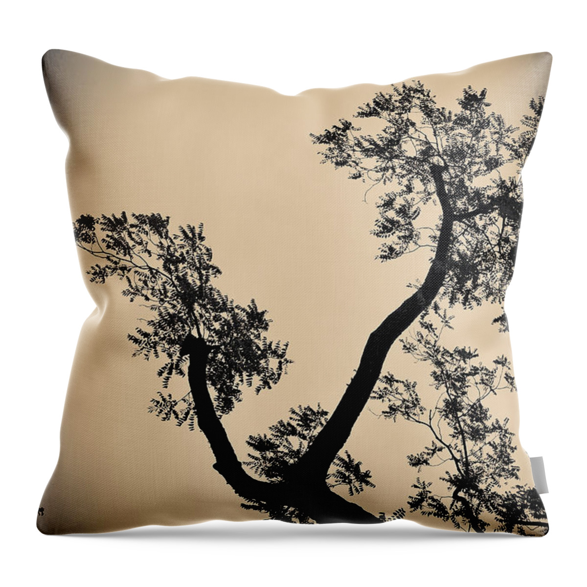 Landscapes Throw Pillow featuring the photograph No Title 2 #1 by Gerlinde Keating