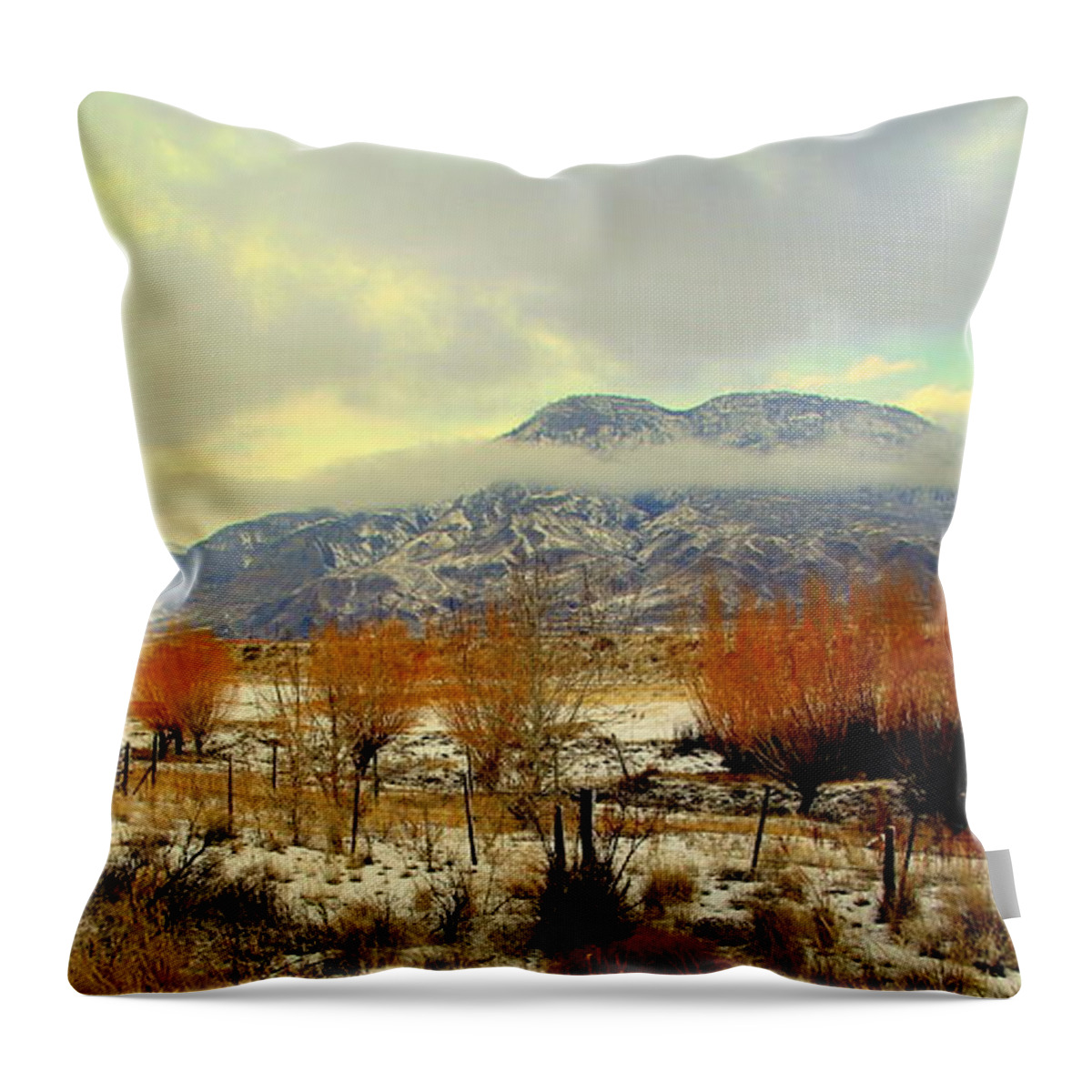 Mountain Throw Pillow featuring the photograph North #1 by Kathy Bassett