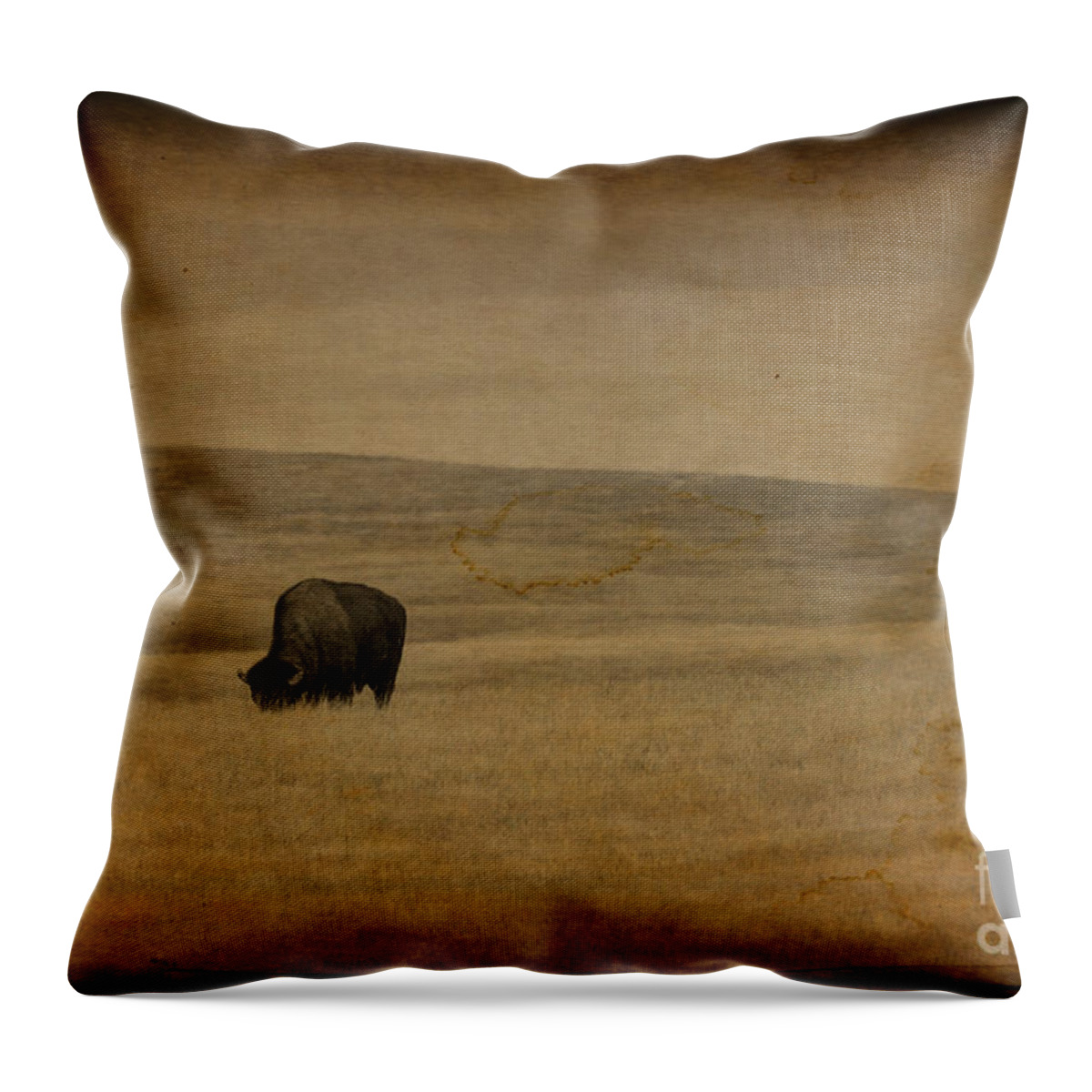 Bison Throw Pillow featuring the photograph Western Themed South Dakota Bison by Steve Triplett