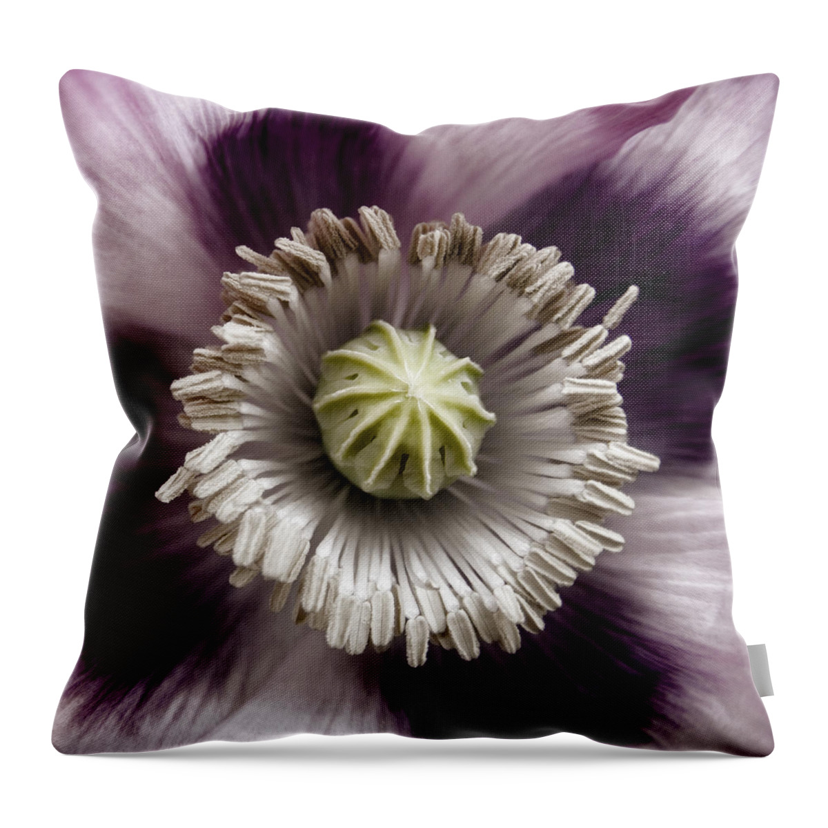 Poppy Throw Pillow featuring the photograph Opium Poppy #1 by Carol Leigh