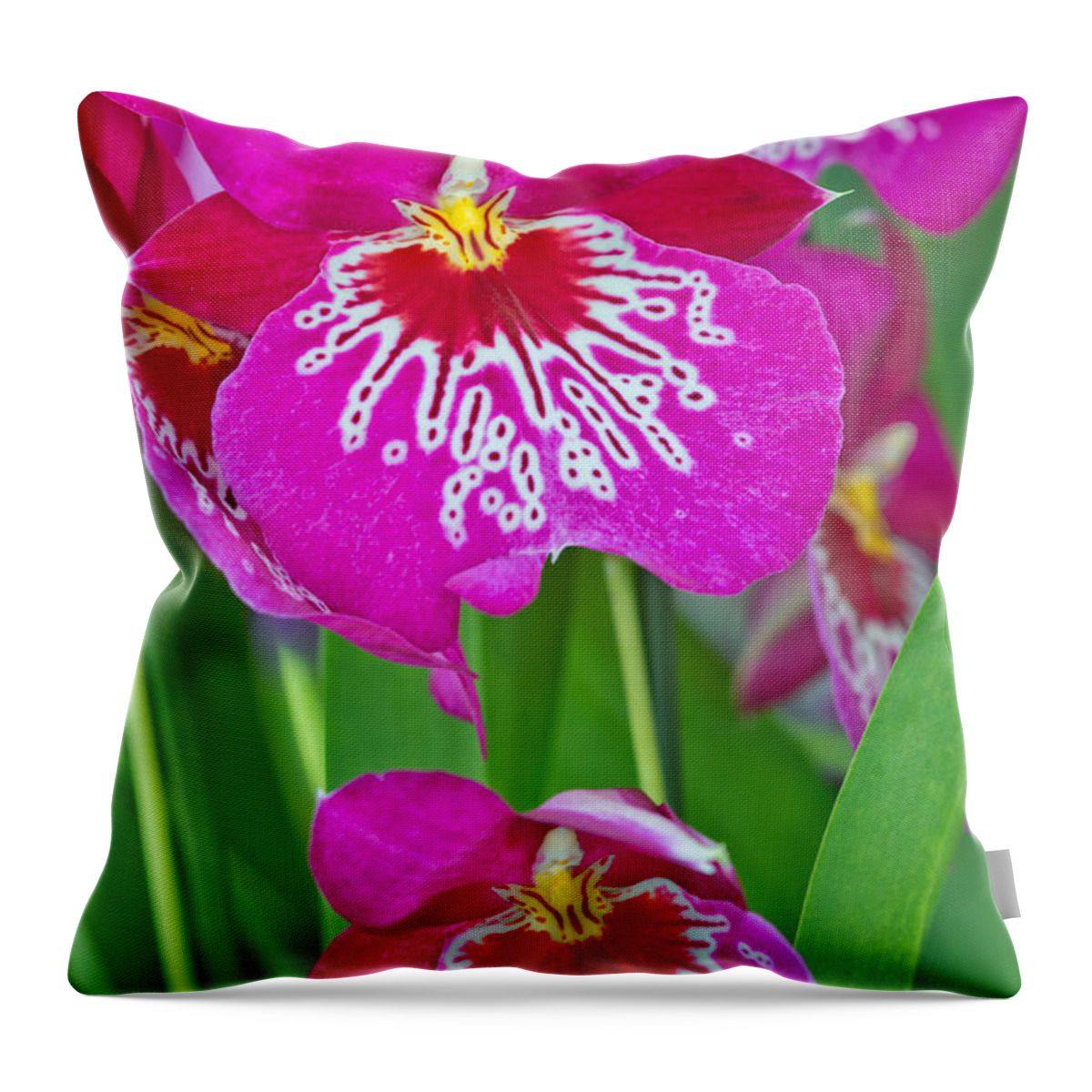 Bloom Throw Pillow featuring the photograph Orchid Flowers #1 by Michael Lustbader