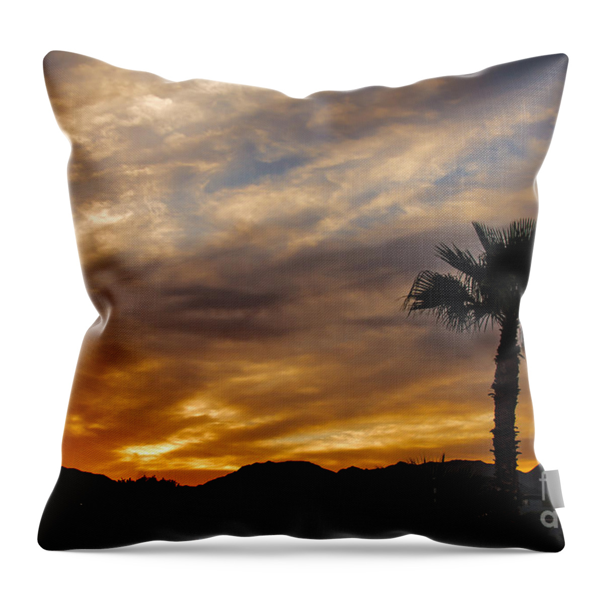 Sunrise Throw Pillow featuring the photograph Palm Tree Silhouette #2 by Robert Bales