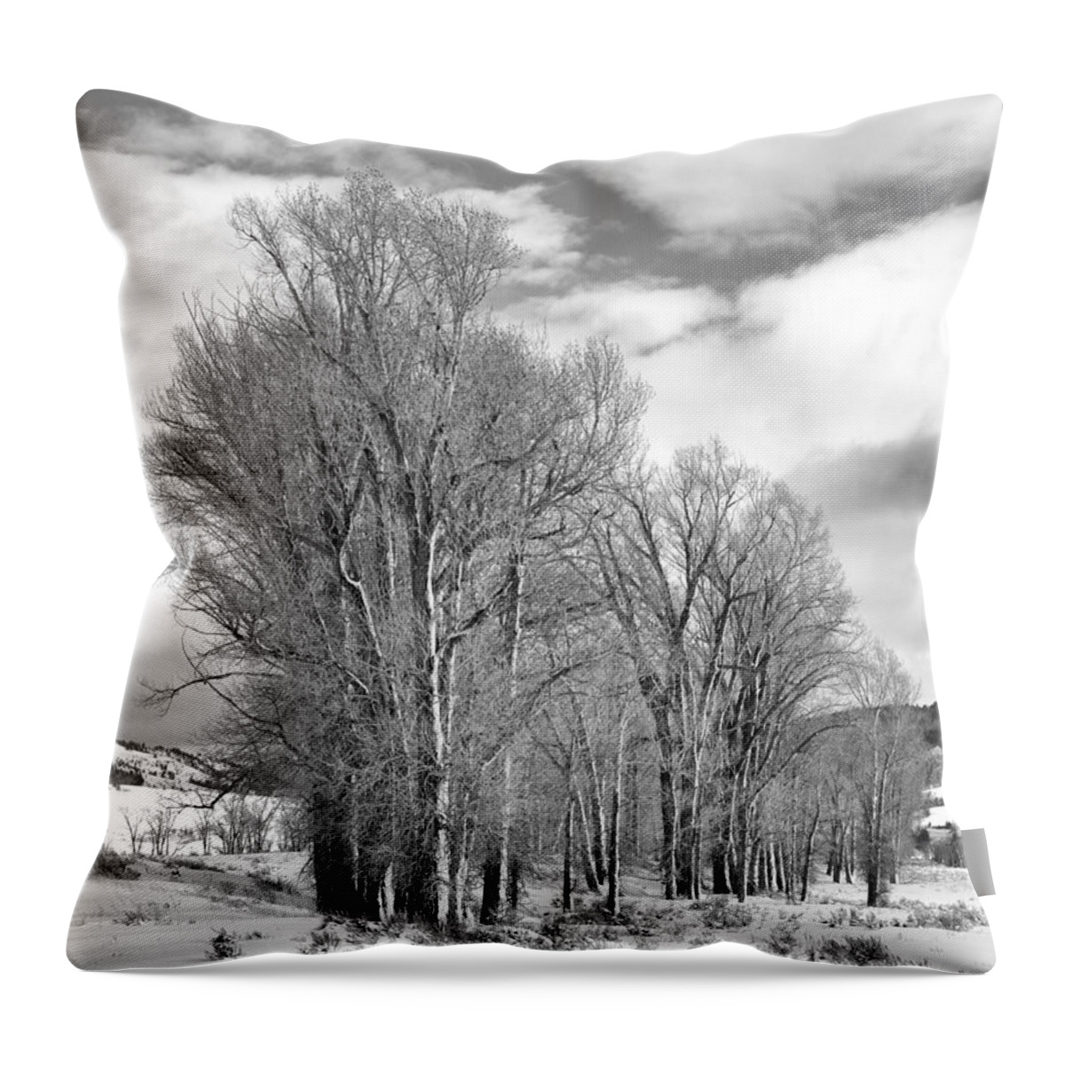 Black & White Throw Pillow featuring the photograph Peaceful Moments #1 by Sandra Bronstein