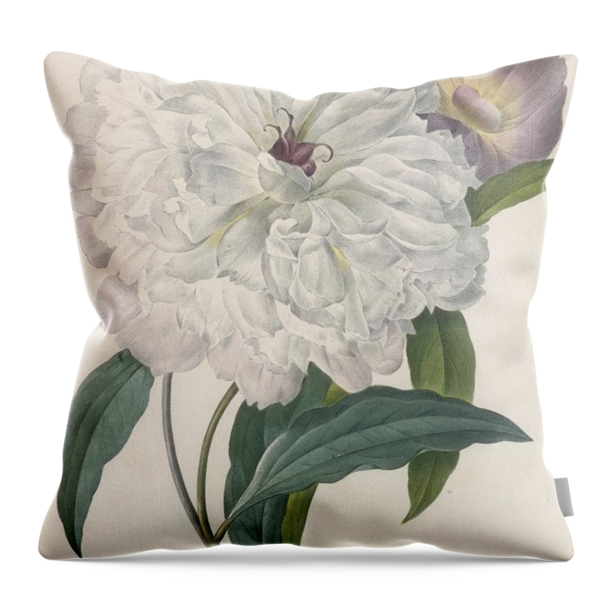 Floral Throw Pillow featuring the painting Peony by Pierre Joseph Redoute