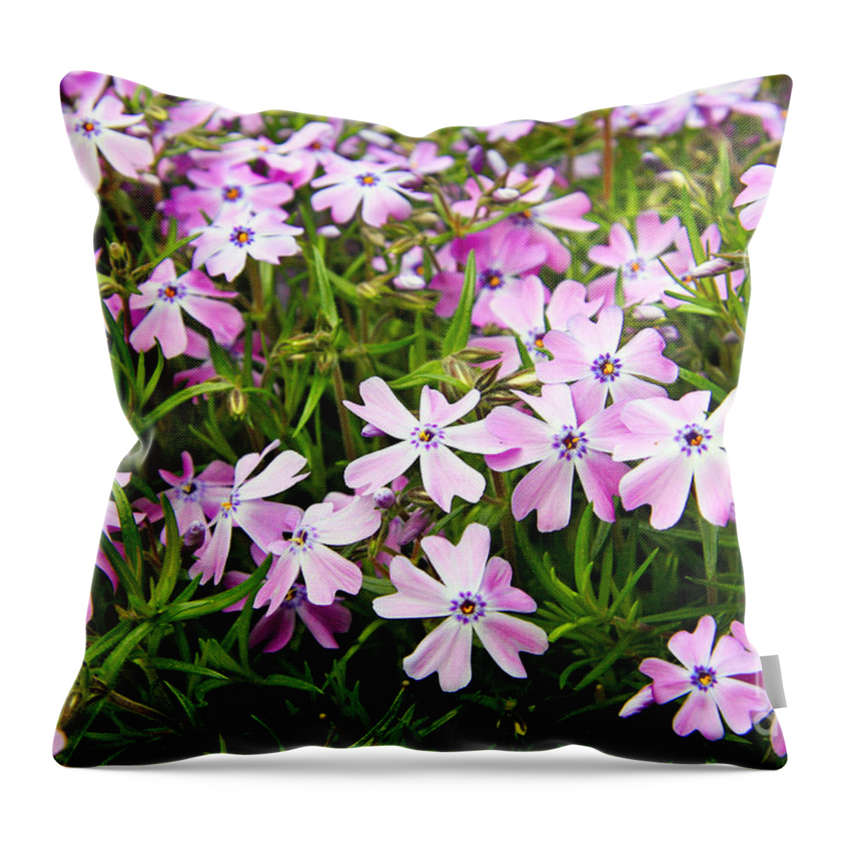 Botanical Garden Throw Pillow featuring the photograph Pink flowers #2 by Lali Kacharava