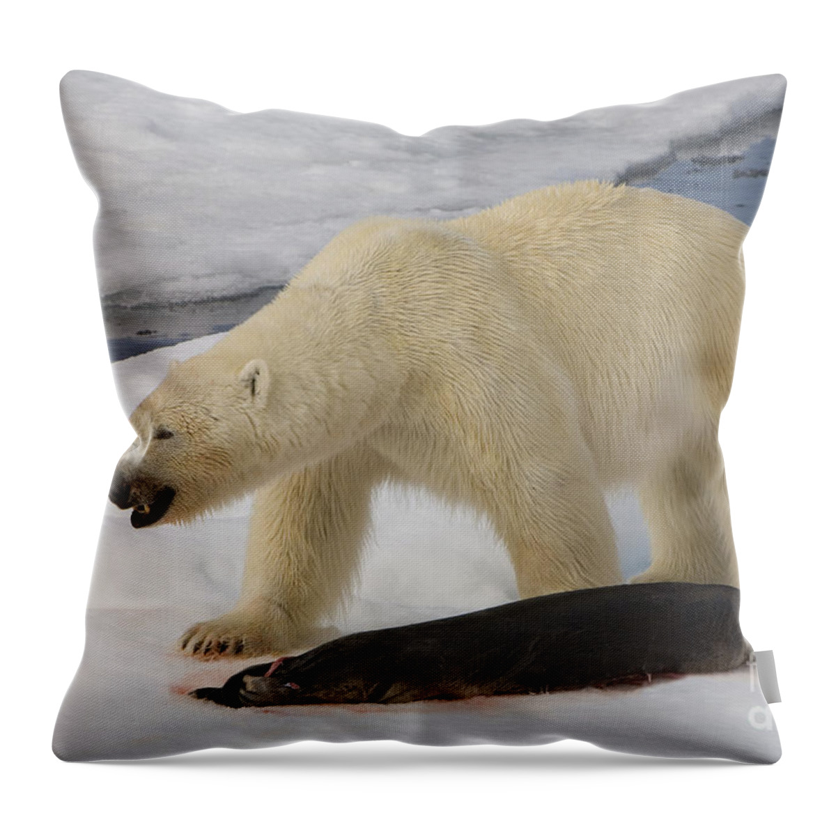 Bearded Seal Throw Pillow featuring the photograph Polar Bear With Fresh Kill #1 by John Shaw