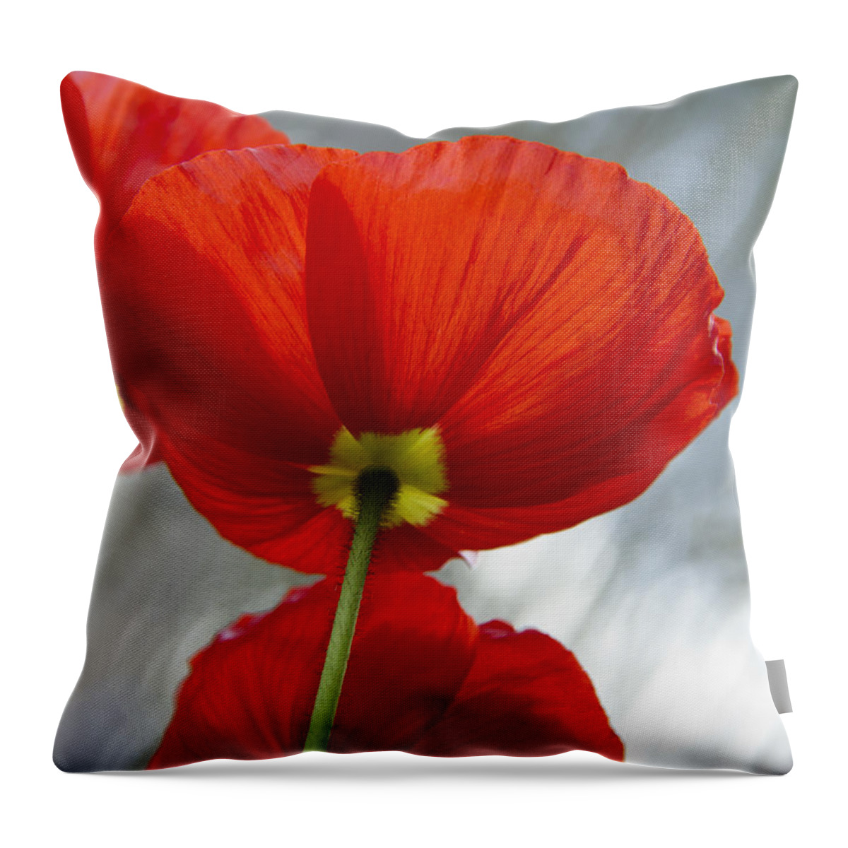 Poppy Throw Pillow featuring the photograph Poppy #1 by Chris Smith