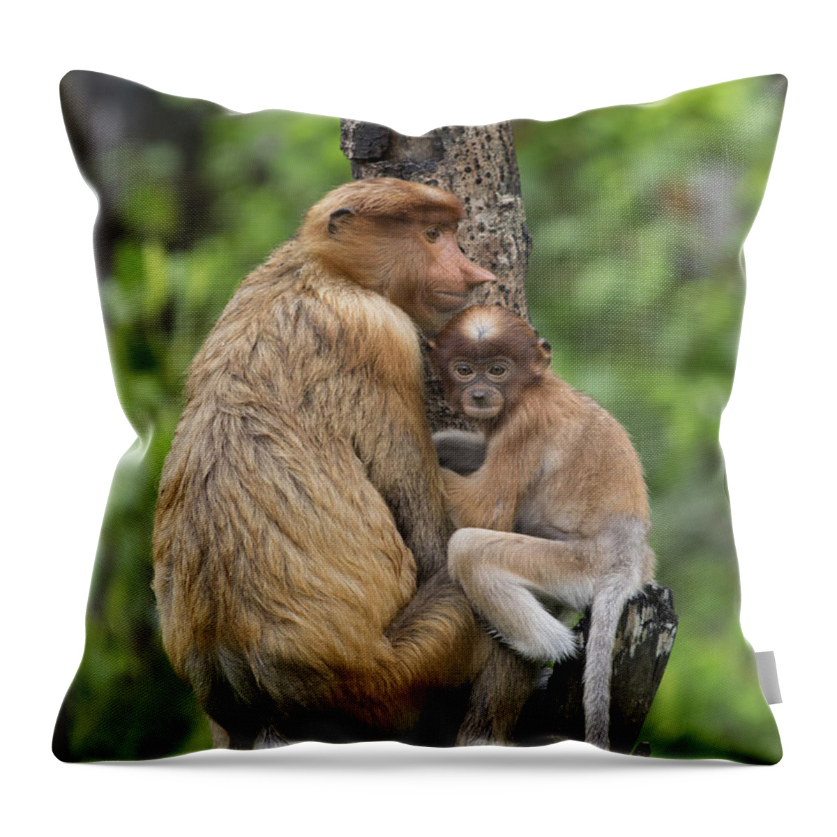 Suzi Eszterhas Throw Pillow featuring the photograph Proboscis Monkey Mother And Three Month #1 by Suzi Eszterhas