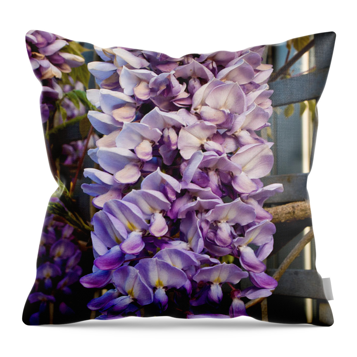  Throw Pillow featuring the photograph Purple Orchid Like Flower #1 by James Gay