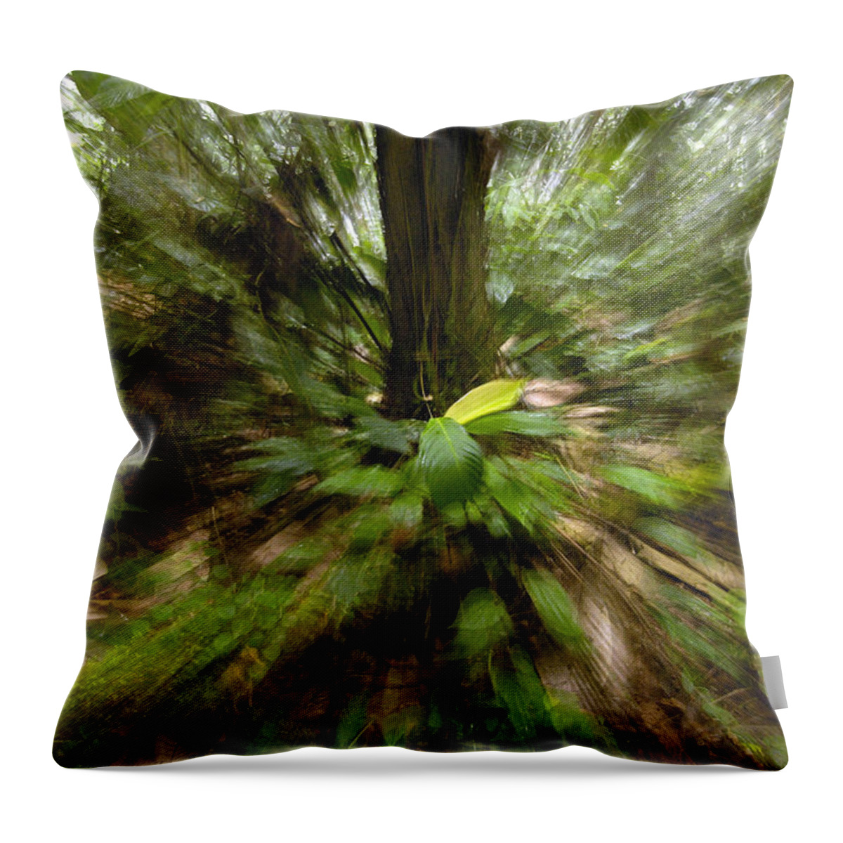 Feb0514 Throw Pillow featuring the photograph Rainforest Andes Mountains Ecuador #1 by Pete Oxford